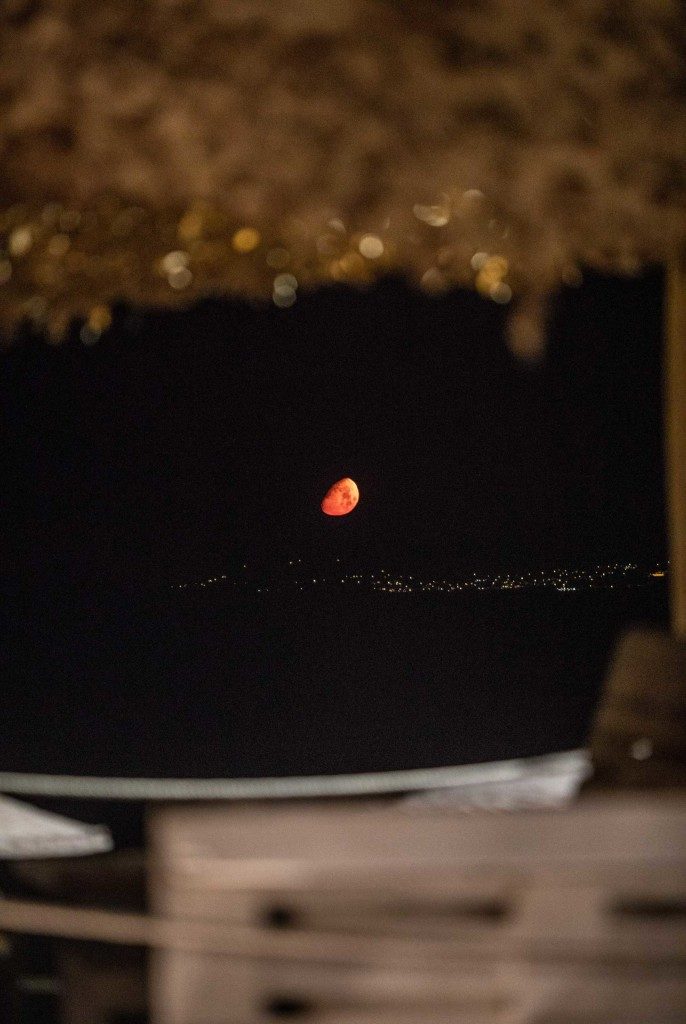 earth-bar-medusa-resort-moon-686x1024