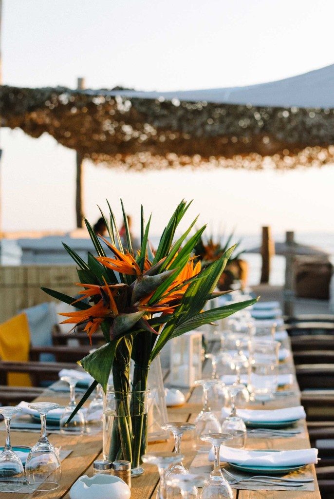 restaurant-medusa-resort-table-686x1024