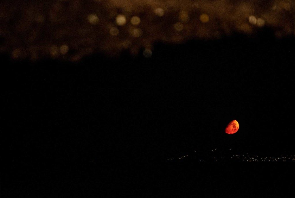 weddings-and-events-medusa-resort-moon-1024x686